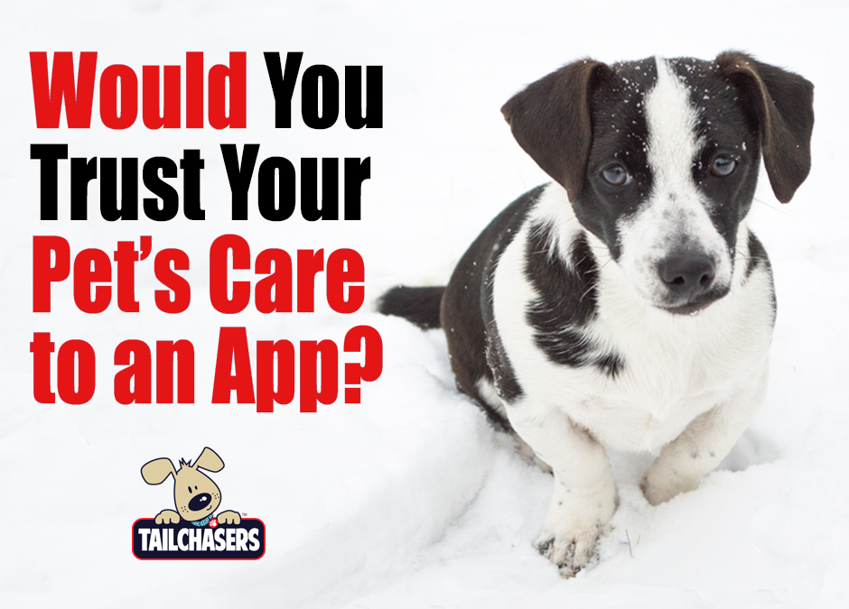 Blog Barrington Pet Resort