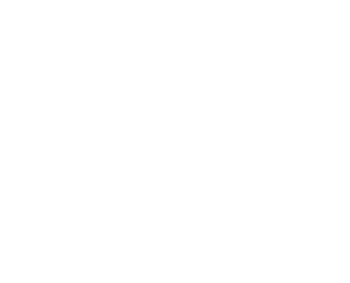 PW Logo New White