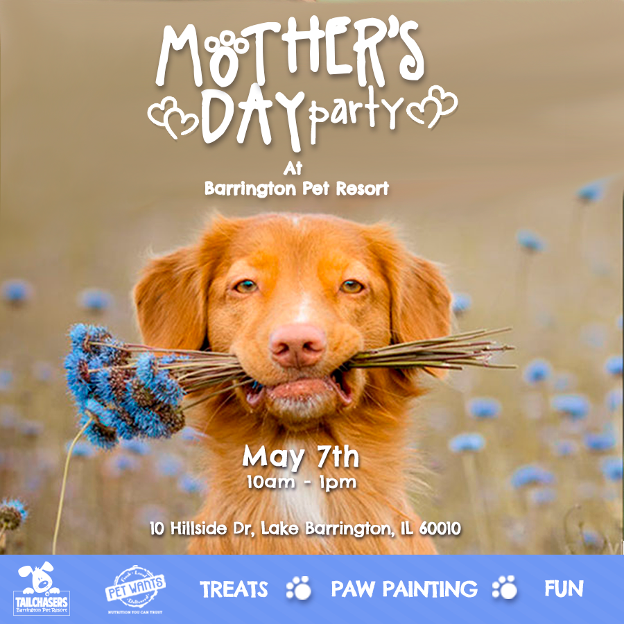 MothersDay